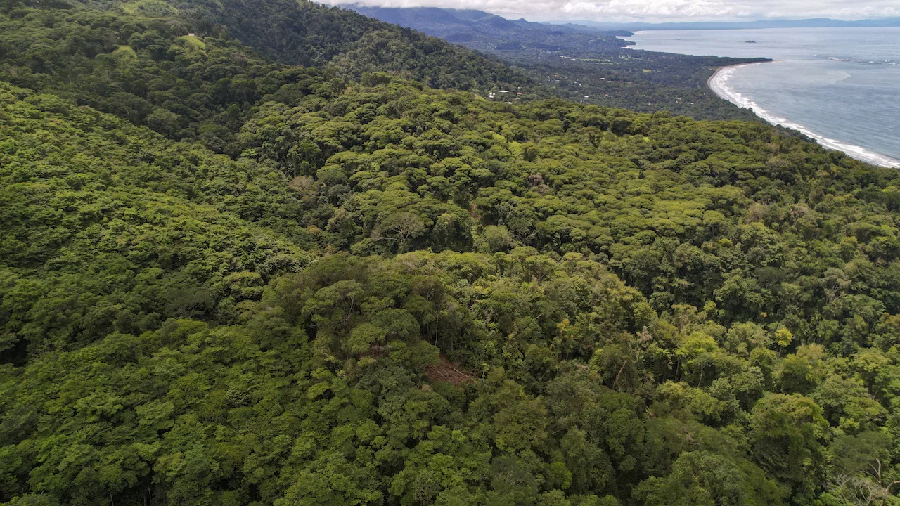 DEVELOPMENT POTENCIAL LAND WITH OCEAN VIEWS – 17.59 ACRES, photo 11