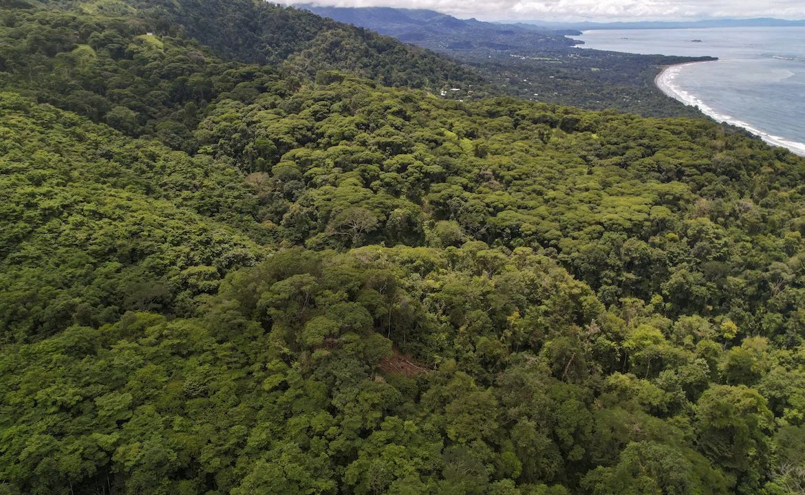 DEVELOPMENT POTENCIAL LAND WITH OCEAN VIEWS – 17.59 ACRES, photo 12