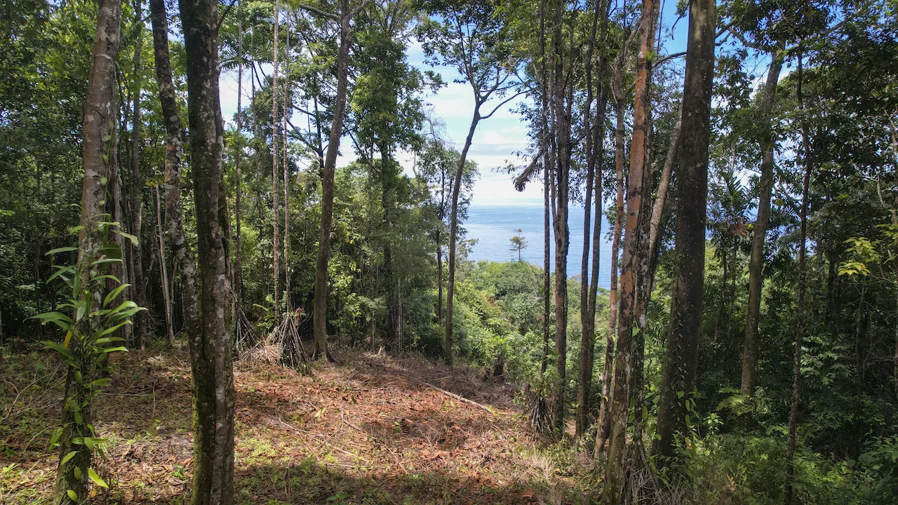 DEVELOPMENT POTENCIAL LAND WITH OCEAN VIEWS – 17.59 ACRES, photo 17