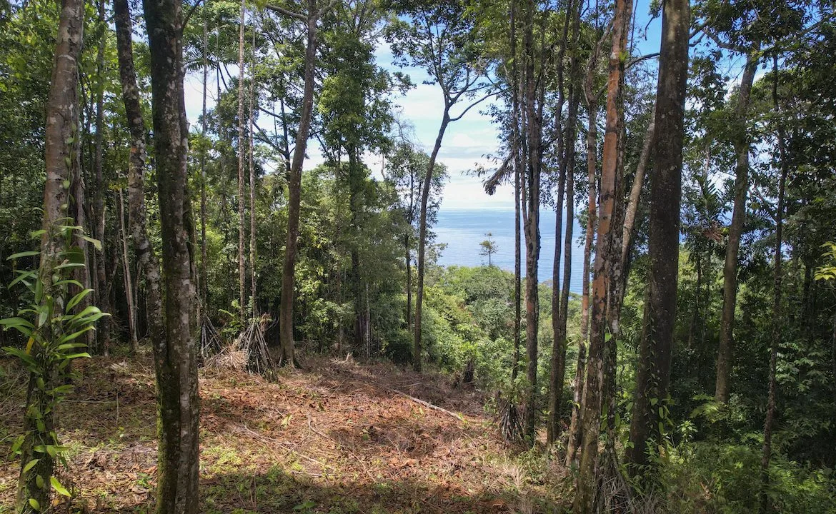 DEVELOPMENT POTENCIAL LAND WITH OCEAN VIEWS – 17.59 ACRES, photo 18