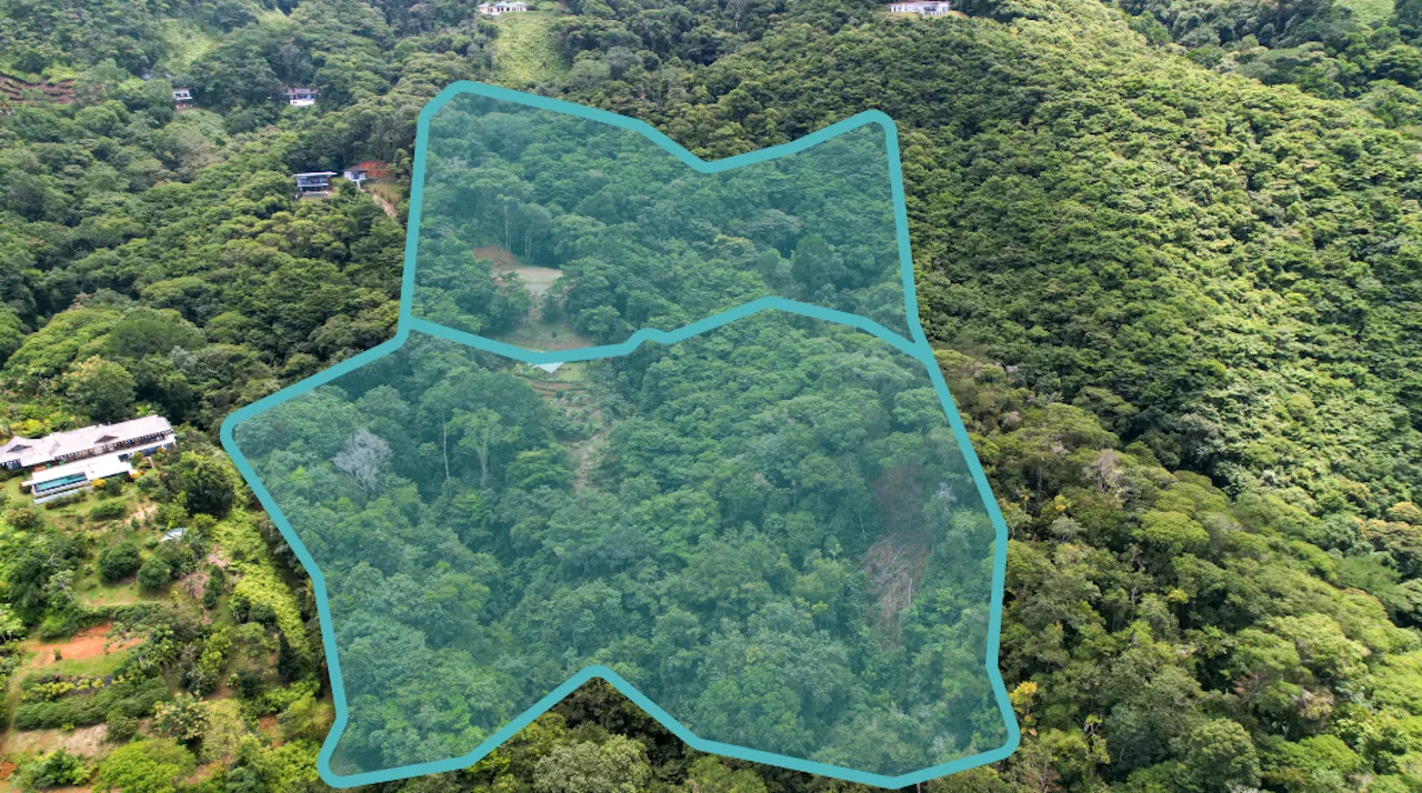 DEVELOPMENT POTENCIAL LAND WITH OCEAN VIEWS – 17.59 ACRES, photo 3