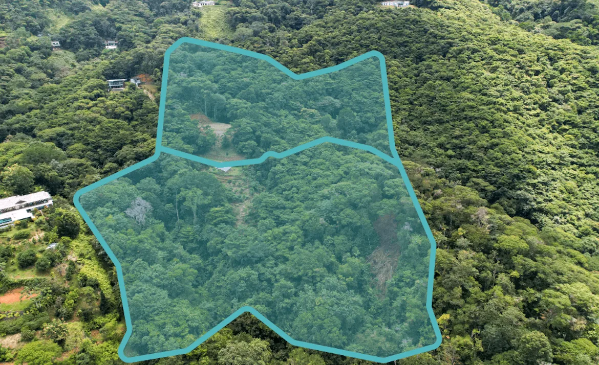 DEVELOPMENT POTENCIAL LAND WITH OCEAN VIEWS – 17.59 ACRES, photo 4