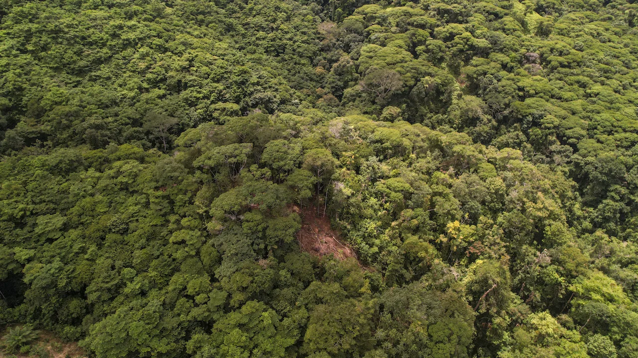 DEVELOPMENT POTENCIAL LAND WITH OCEAN VIEWS – 17.59 ACRES, photo 9