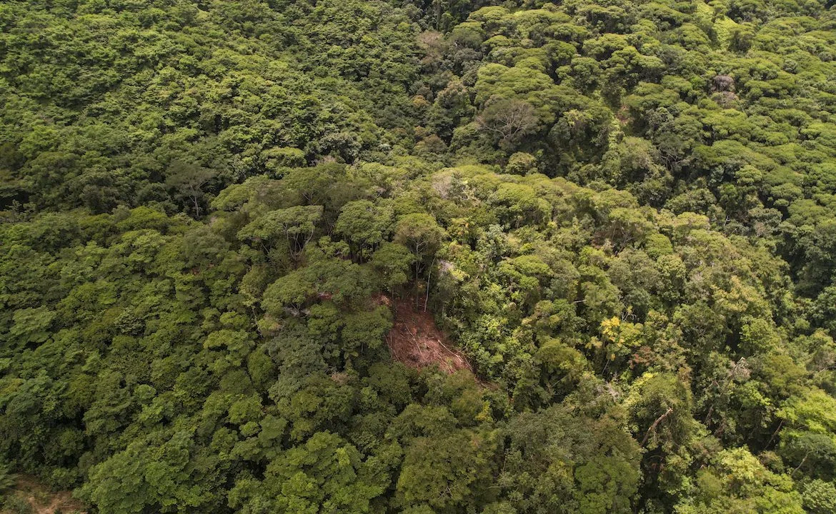 DEVELOPMENT POTENCIAL LAND WITH OCEAN VIEWS – 17.59 ACRES, photo 10