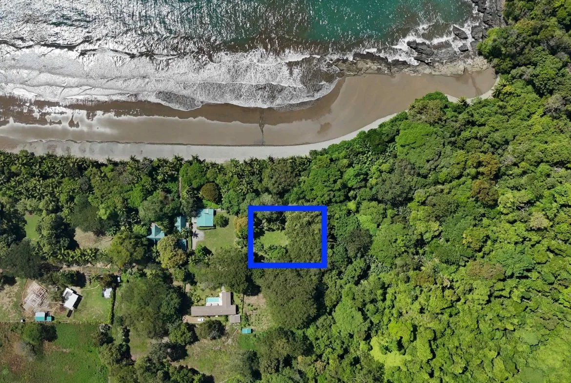 Rare Beachfront Lot Privately Located in Ballena Beach, photo 12