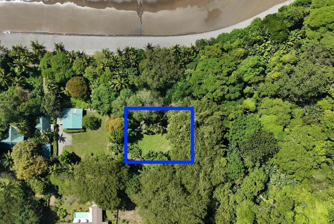 Rare Beachfront Lot Privately Located in Ballena Beach, photo 14