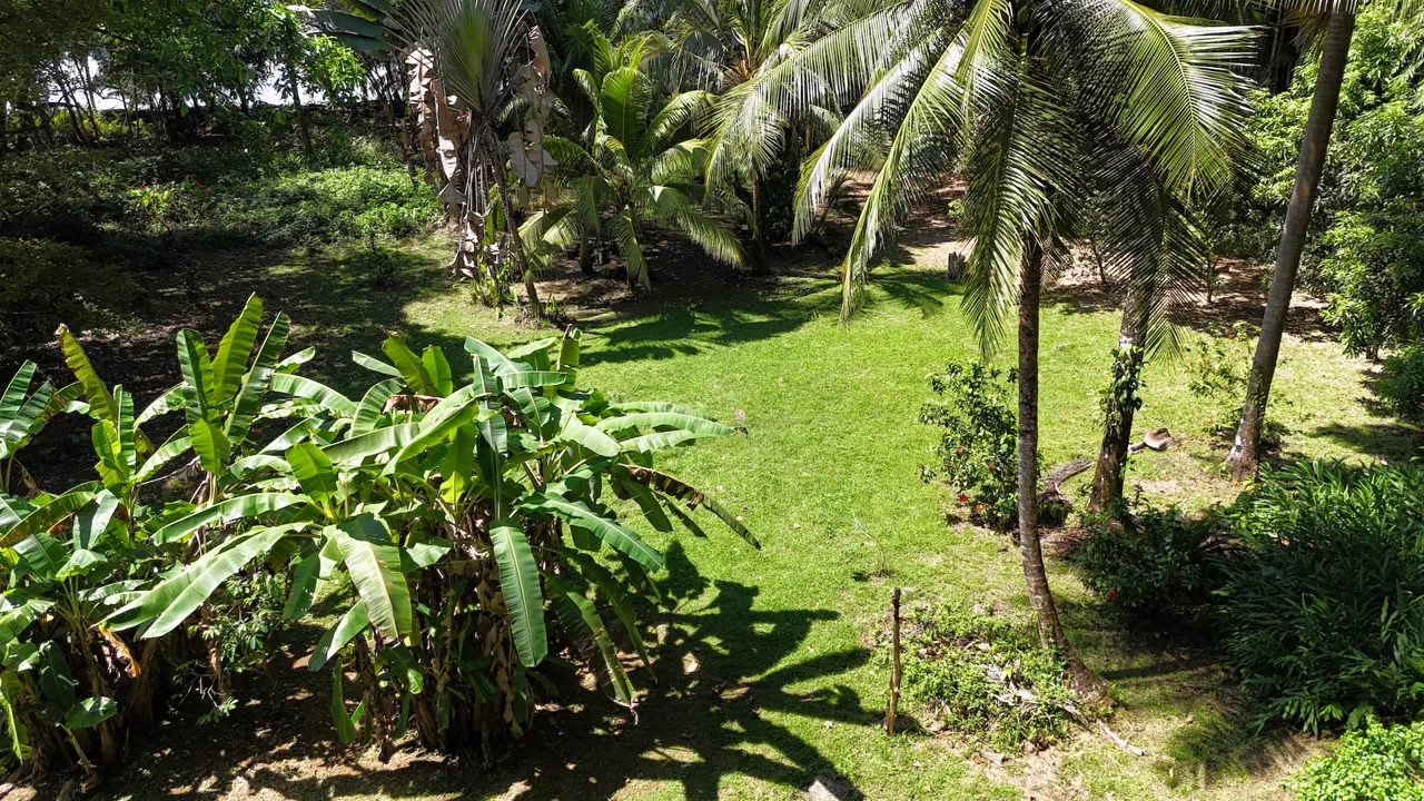 Rare Beachfront Lot Privately Located in Ballena Beach, photo 15