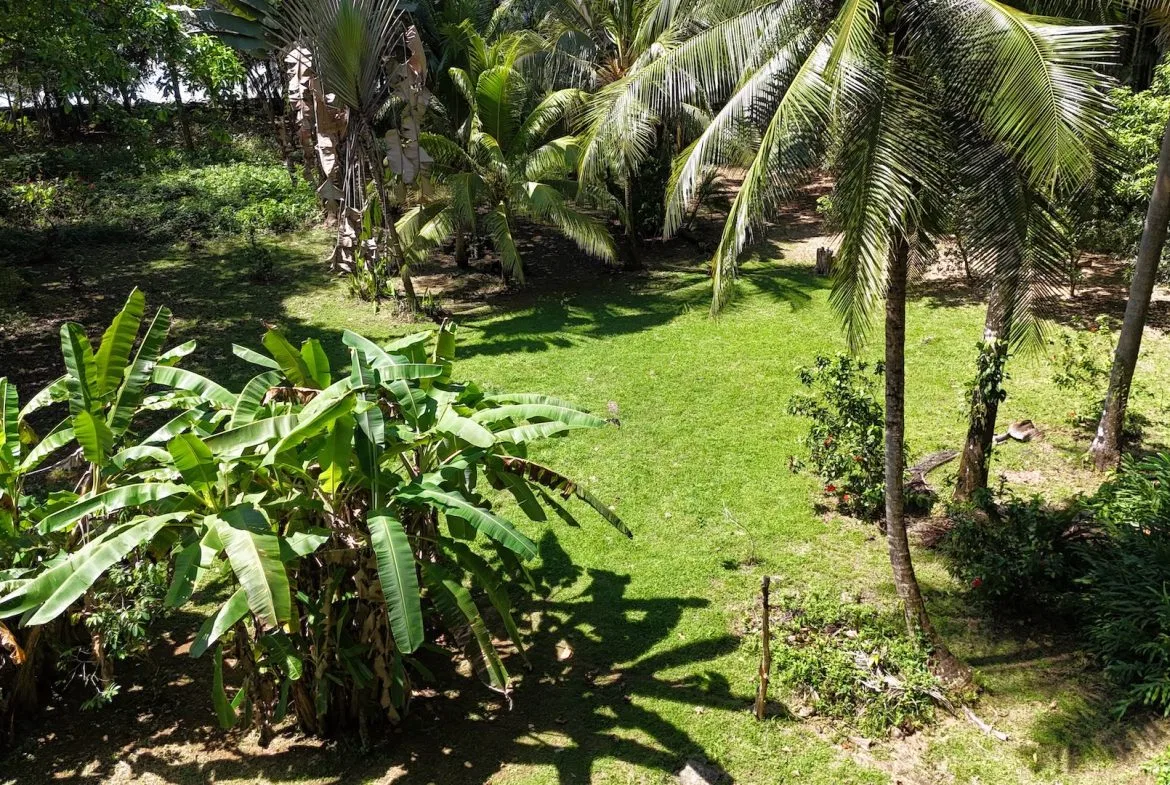 Rare Beachfront Lot Privately Located in Ballena Beach, photo 16