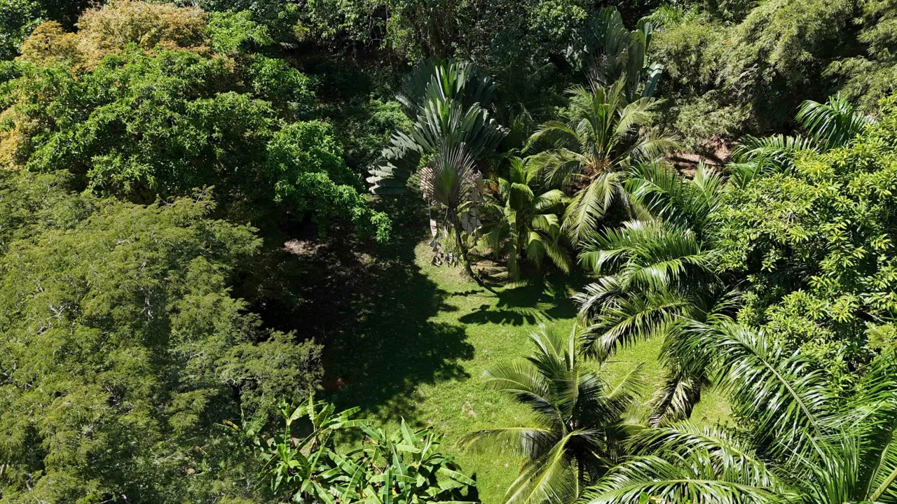 Rare Beachfront Lot Privately Located in Ballena Beach, photo 17