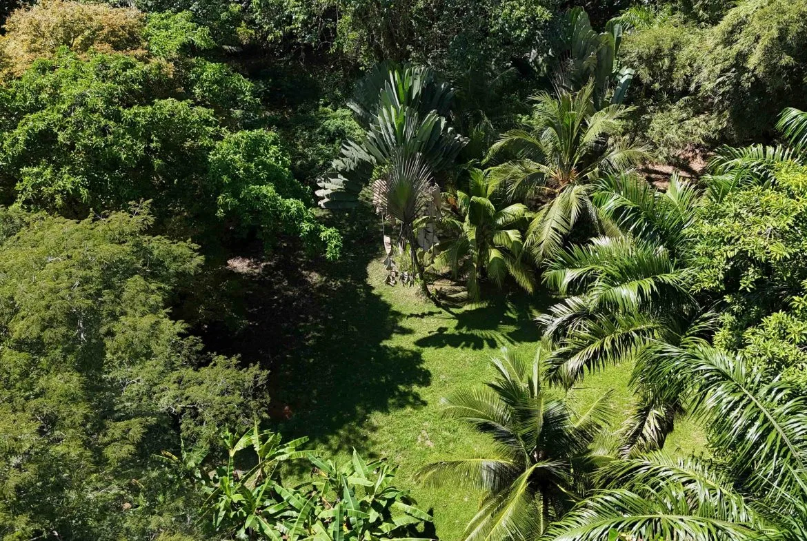 Rare Beachfront Lot Privately Located in Ballena Beach, photo 18