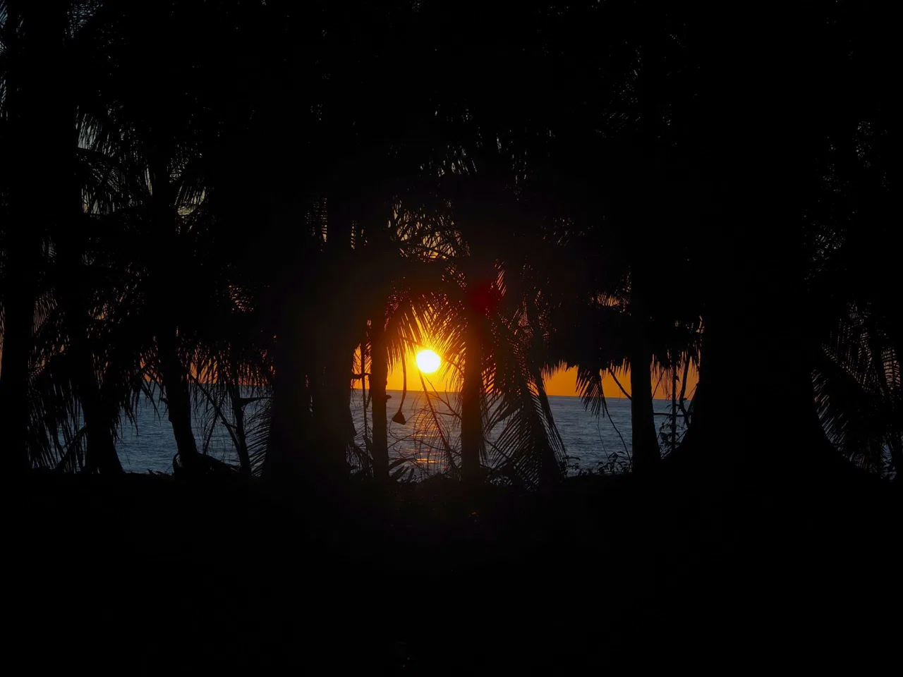 Rare Beachfront Lot Privately Located in Ballena Beach, photo 7