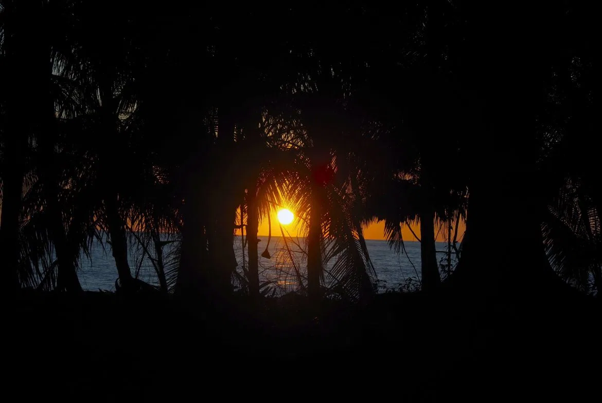 Rare Beachfront Lot Privately Located in Ballena Beach, photo 8