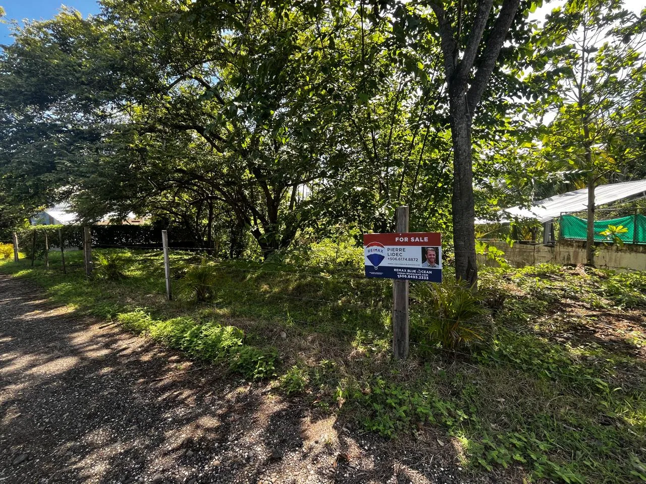 Price Reduced! Prime Lot in the Heart of Puerto Carrillo