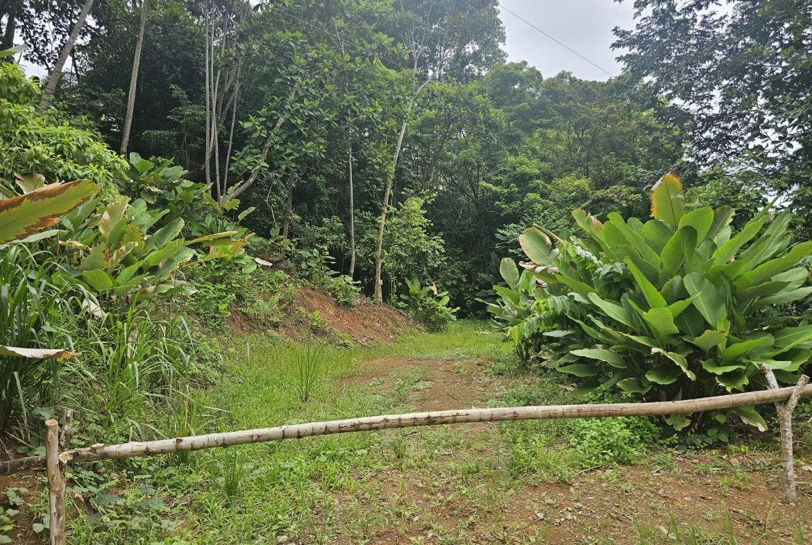 BEAUTIFUL LOT IN UVITA, photo 2