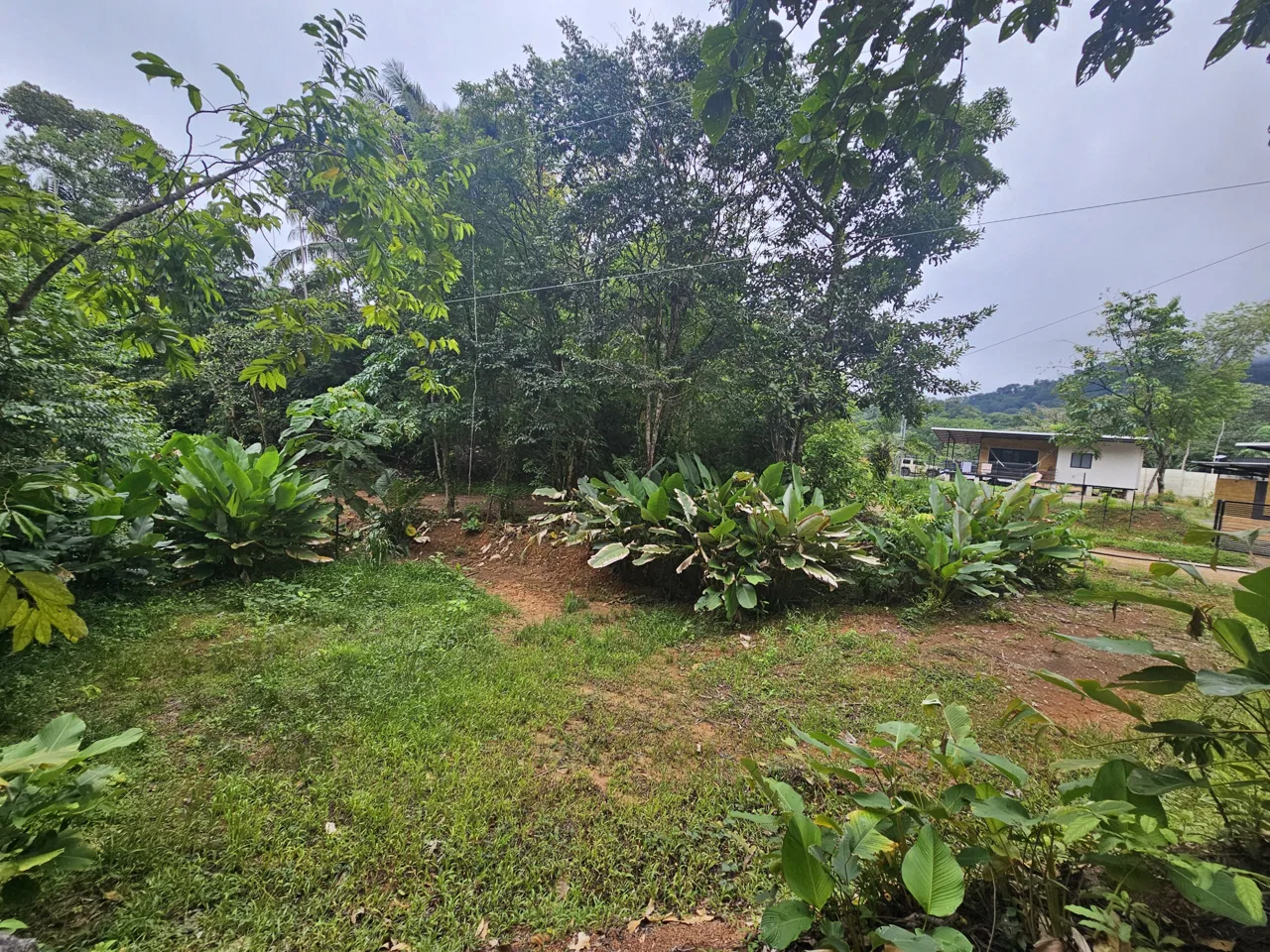 BEAUTIFUL LOT IN UVITA, photo 11