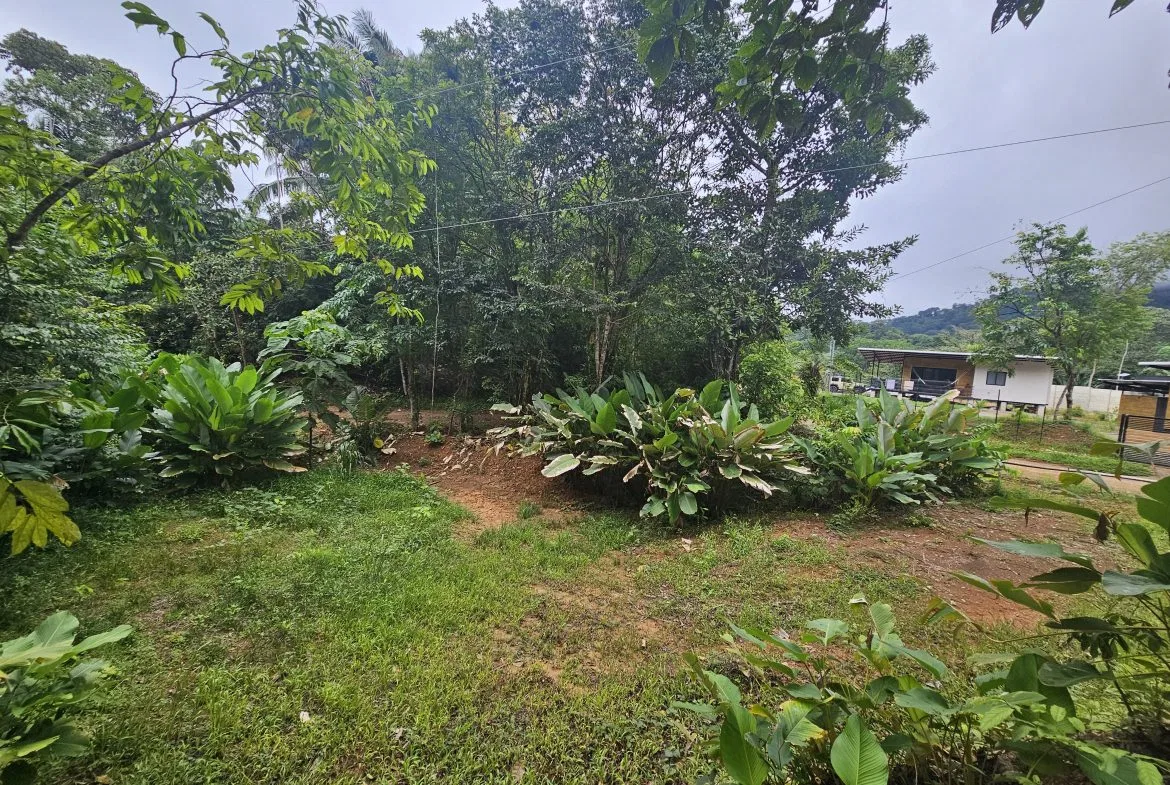 BEAUTIFUL LOT IN UVITA, photo 12