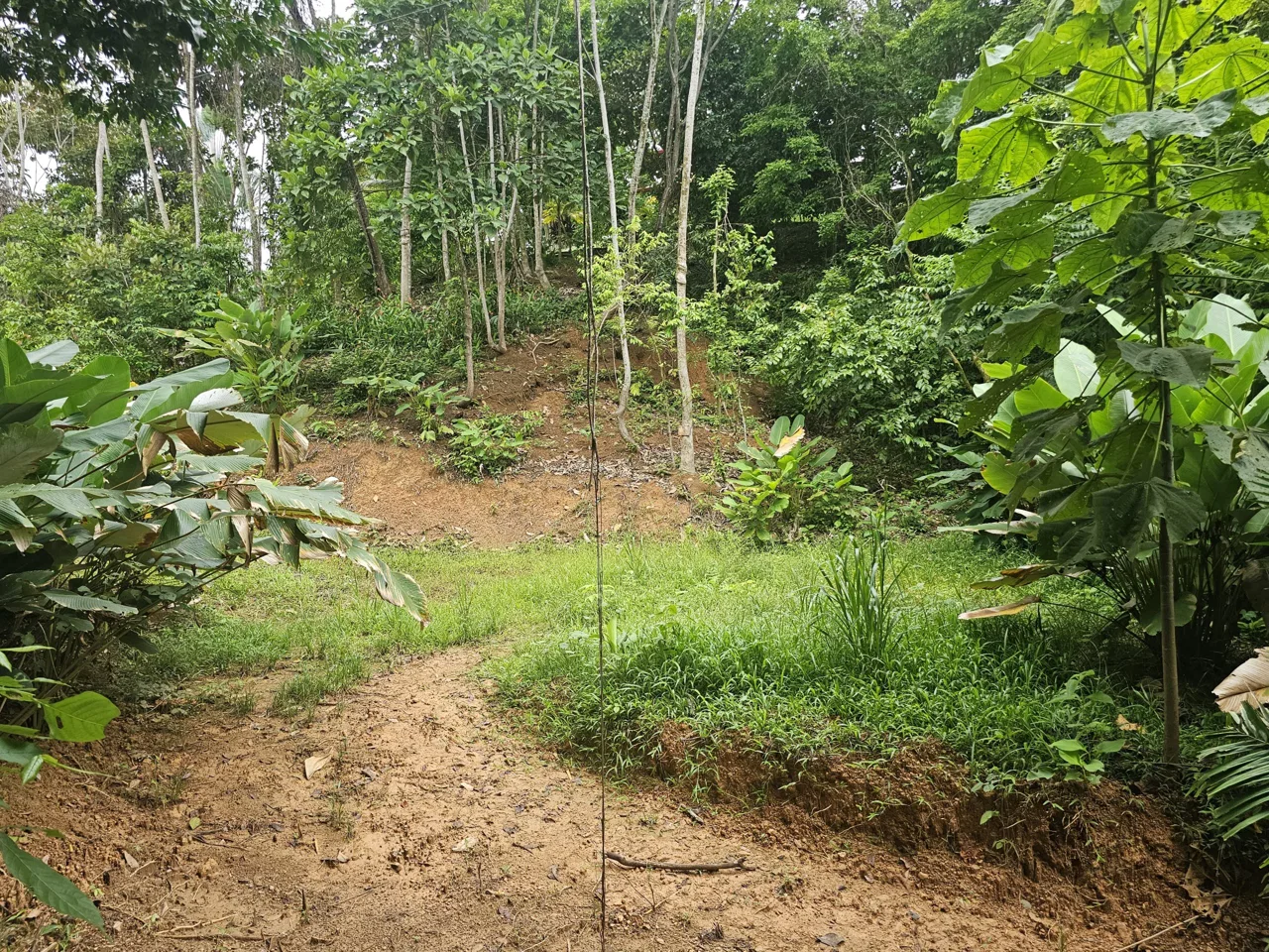BEAUTIFUL LOT IN UVITA, photo 17