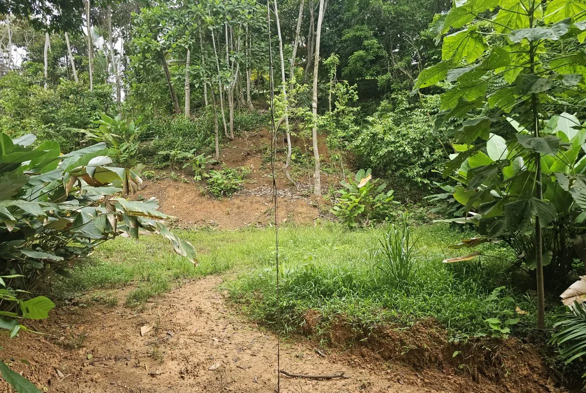 BEAUTIFUL LOT IN UVITA, photo 18