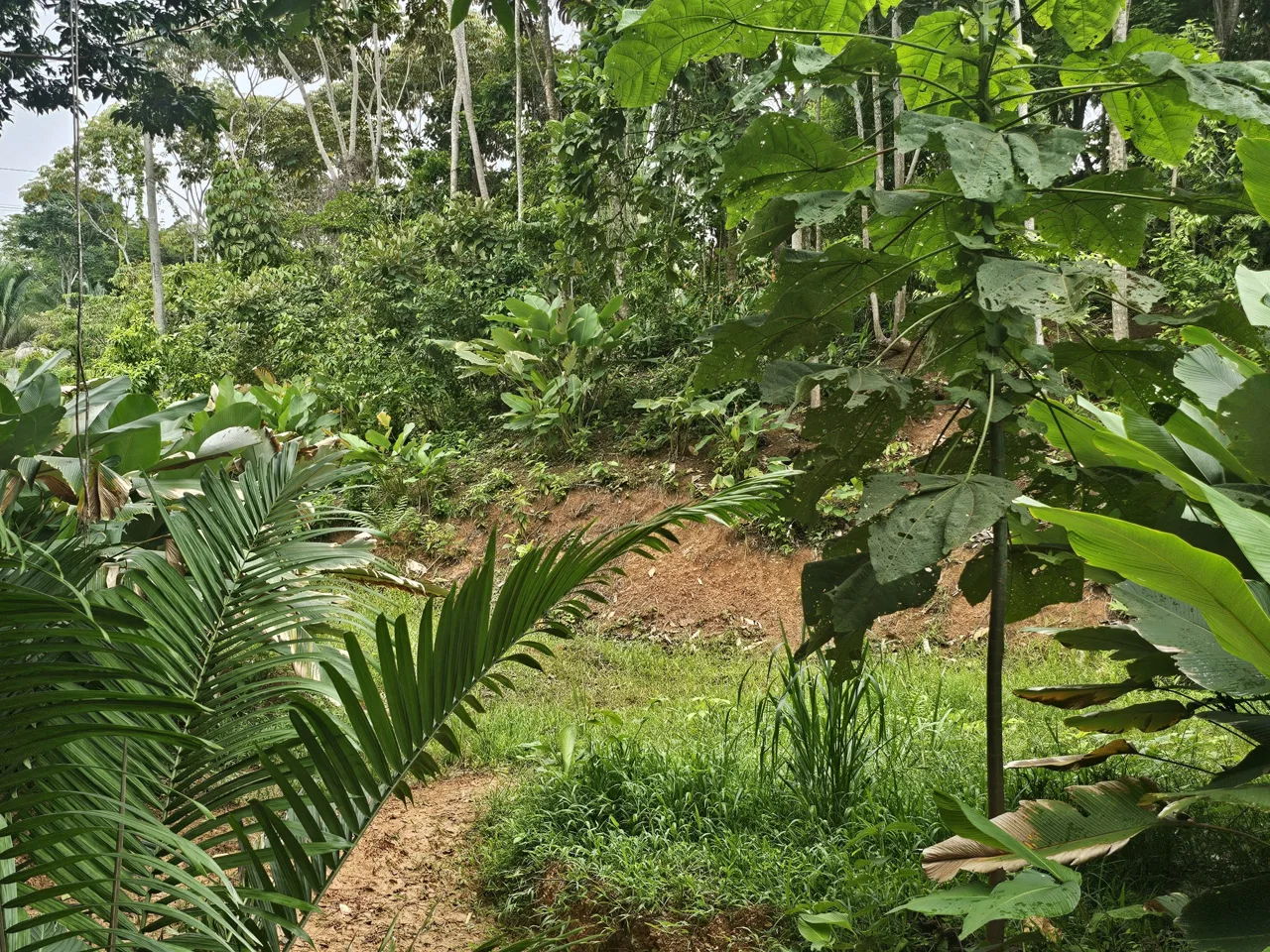 BEAUTIFUL LOT IN UVITA, photo 19