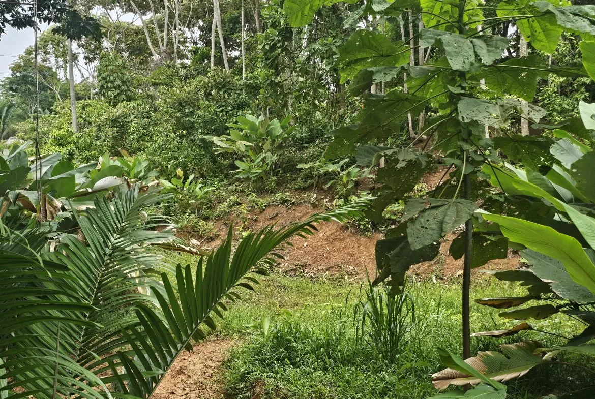 BEAUTIFUL LOT IN UVITA, photo 20