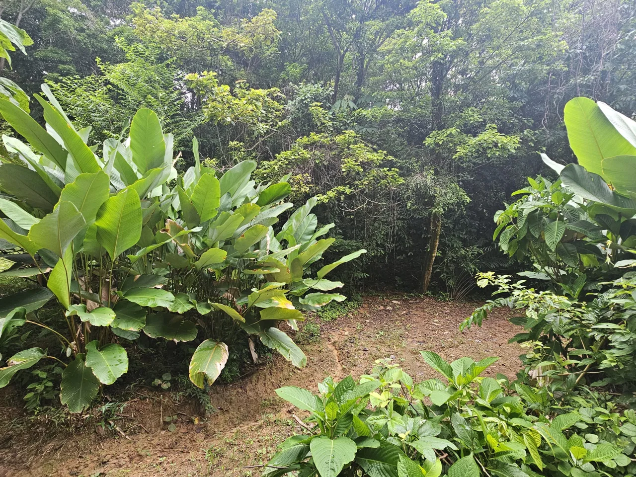 BEAUTIFUL LOT IN UVITA, photo 3