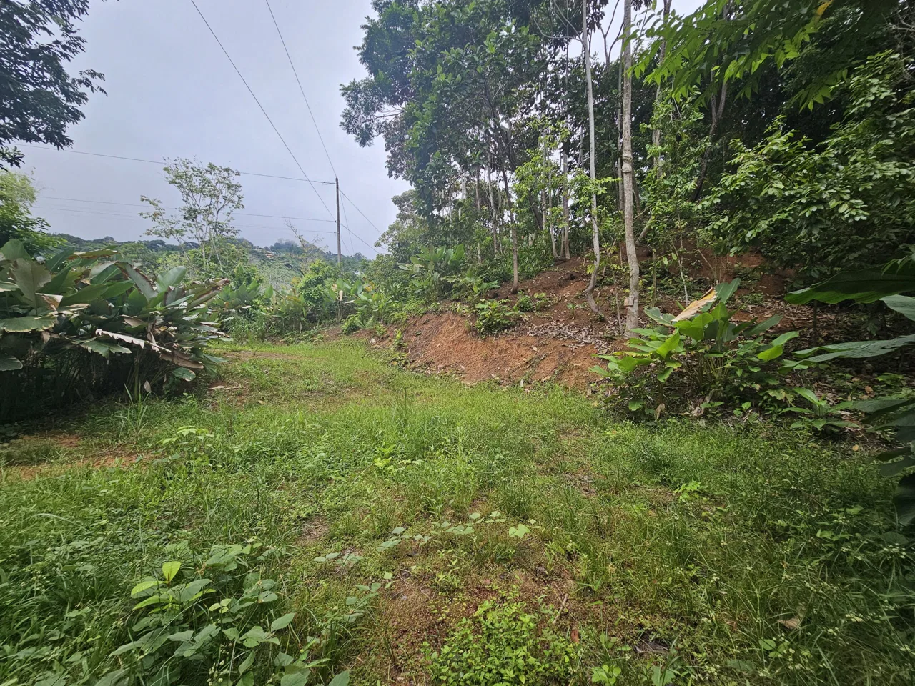 BEAUTIFUL LOT IN UVITA, photo 21