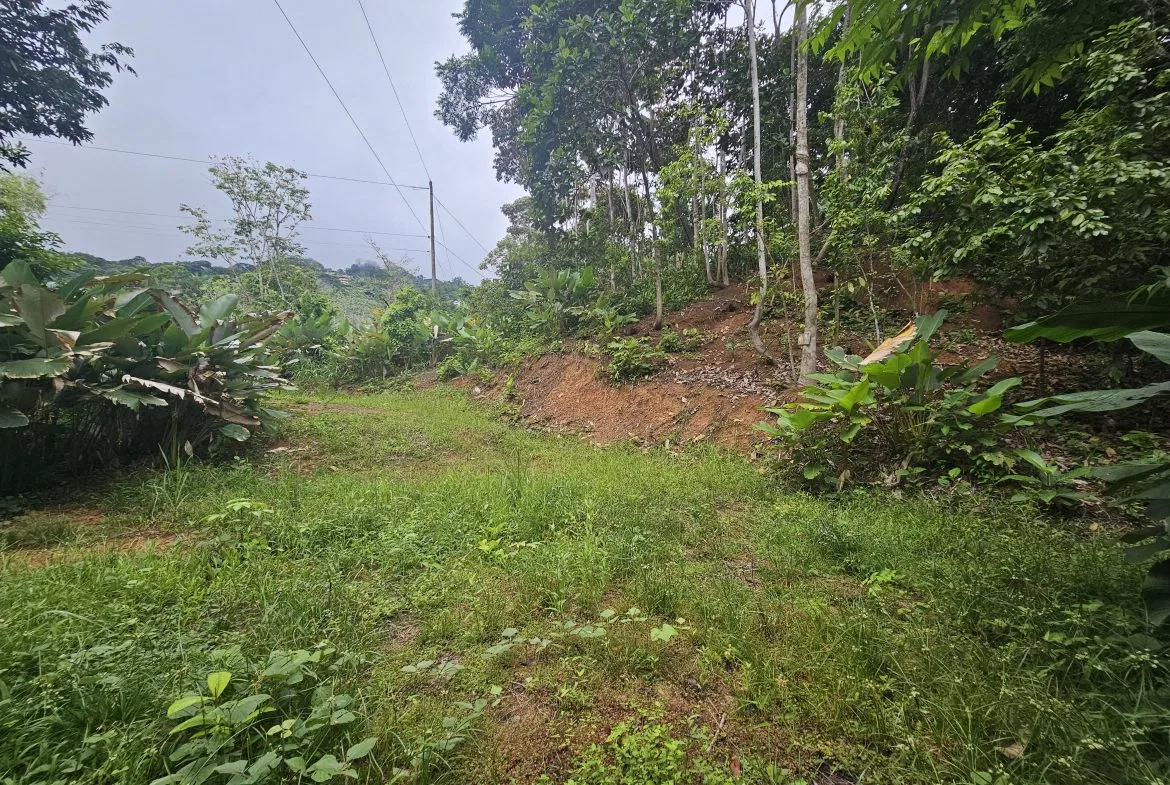 BEAUTIFUL LOT IN UVITA, photo 22