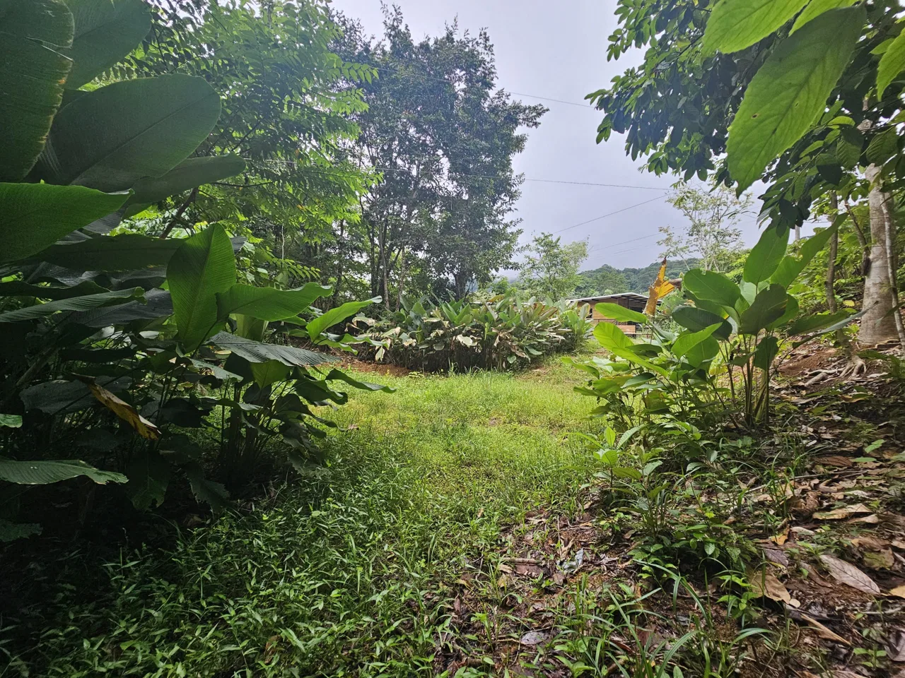 BEAUTIFUL LOT IN UVITA, photo 23