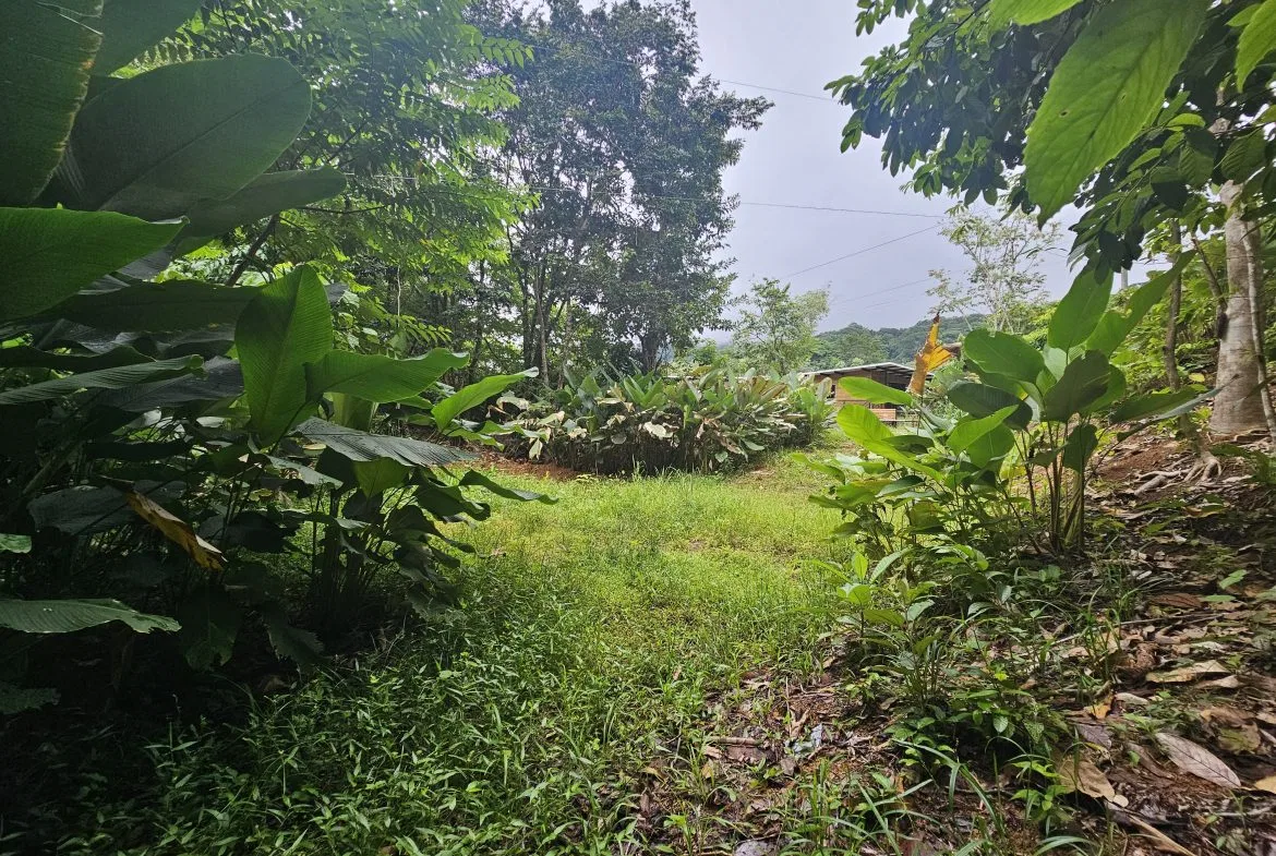 BEAUTIFUL LOT IN UVITA, photo 24