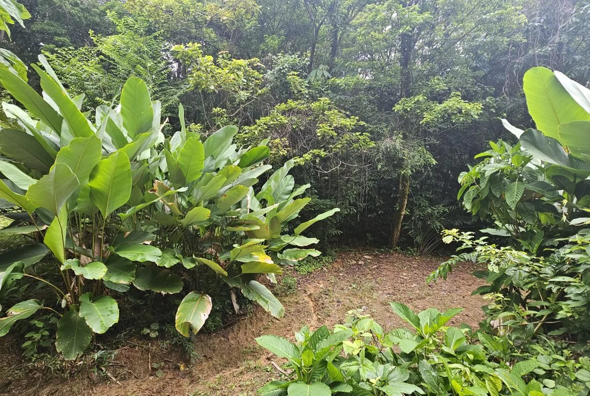 BEAUTIFUL LOT IN UVITA, photo 4