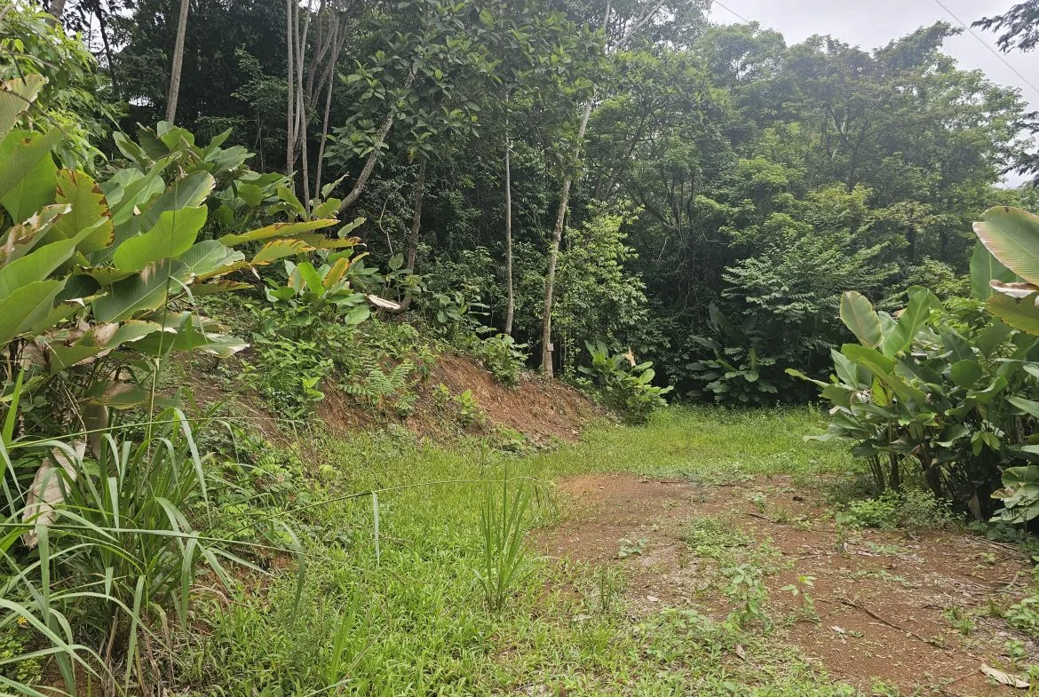 BEAUTIFUL LOT IN UVITA, photo 6