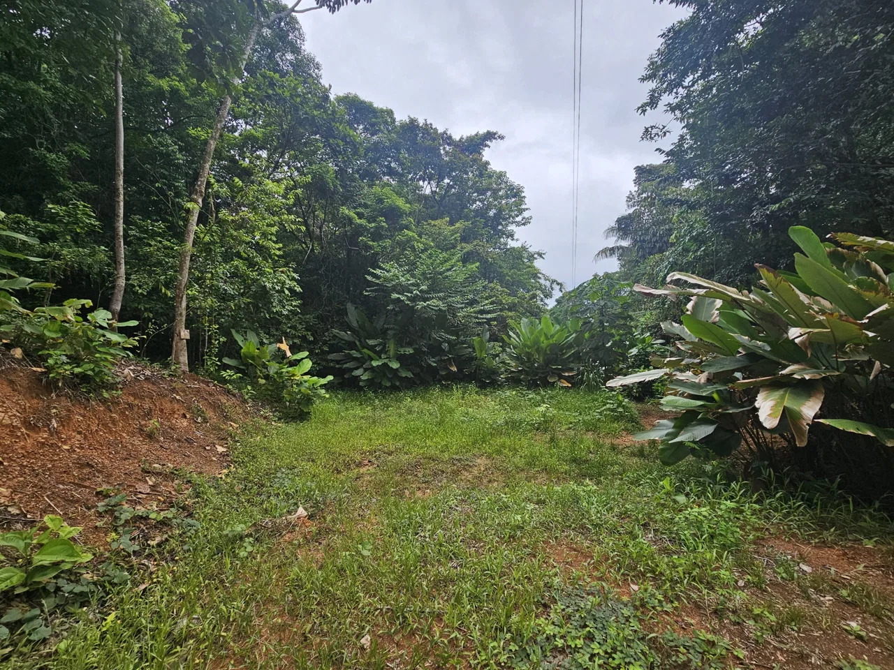 BEAUTIFUL LOT IN UVITA, photo 7