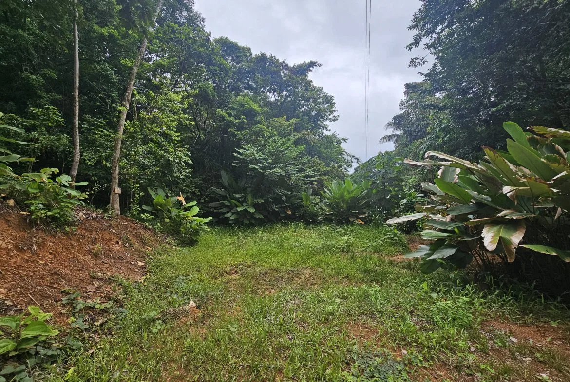BEAUTIFUL LOT IN UVITA, photo 8