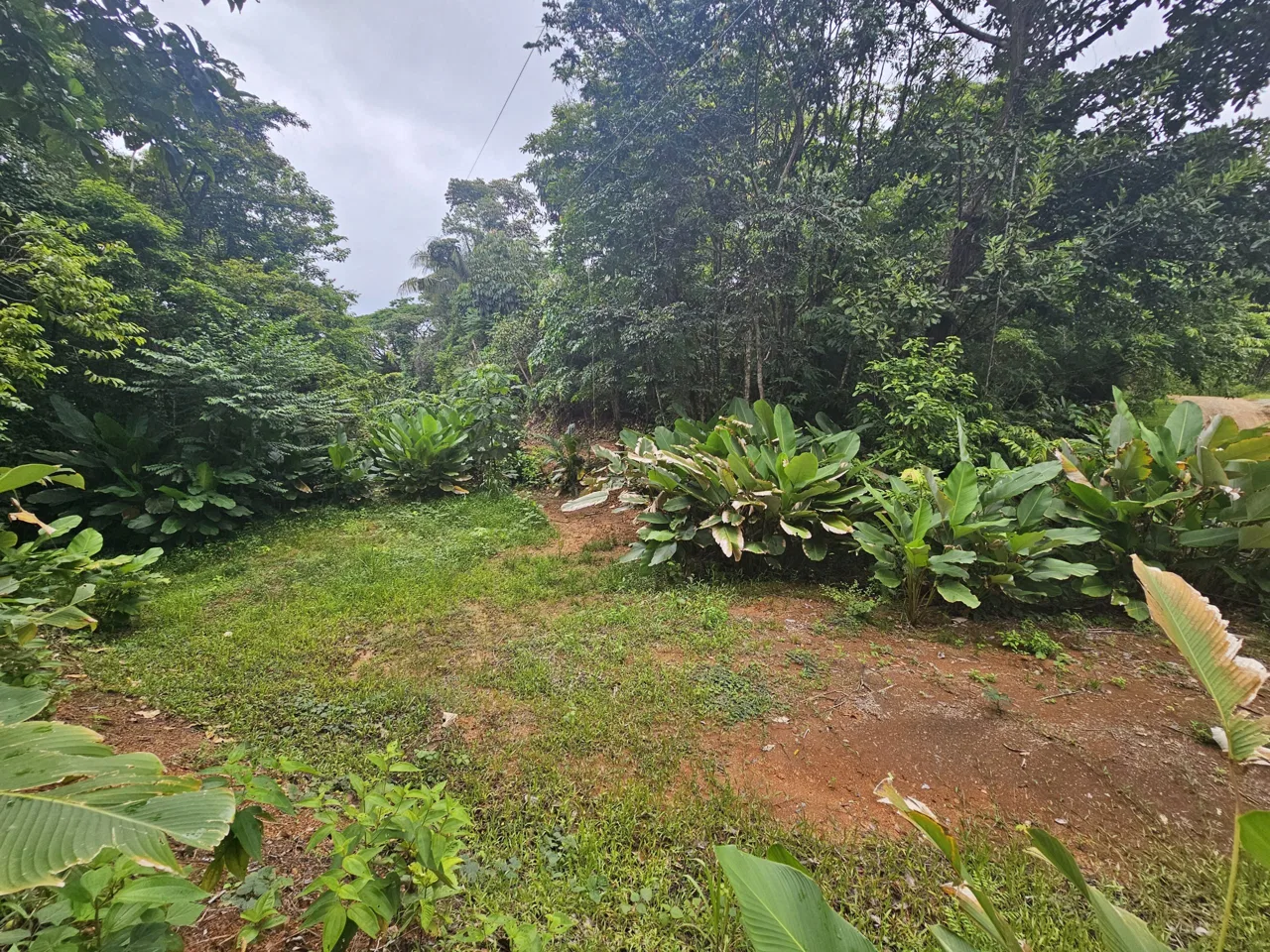BEAUTIFUL LOT IN UVITA, photo 9
