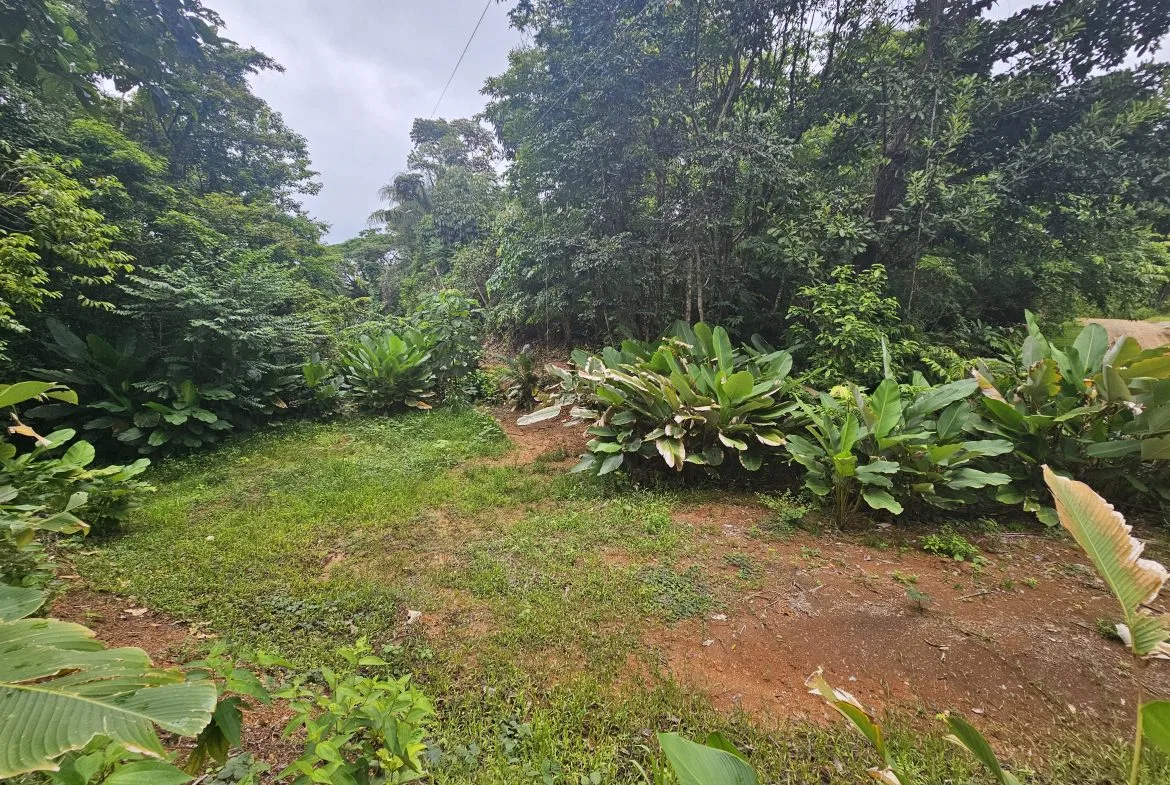 BEAUTIFUL LOT IN UVITA, photo 10