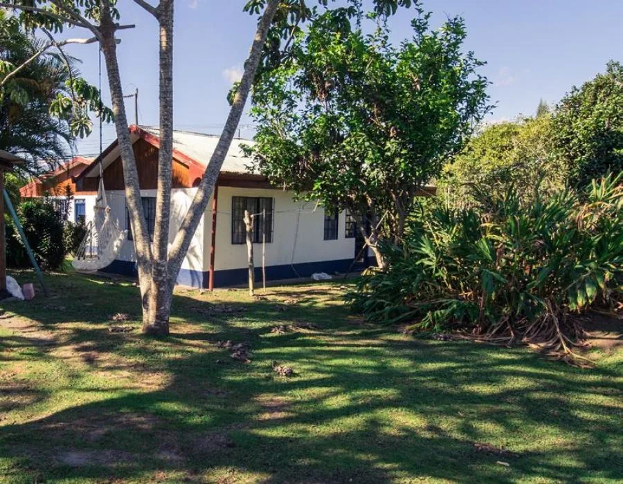 Lote de 1 Hectarea, Ideal para Desarrollar, San Rafael, Montes de Oca - Venta en Montes de Oca, photo 8