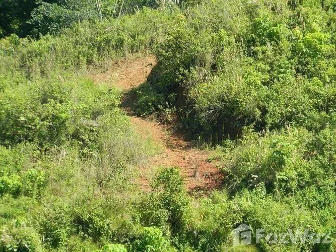 Land for Sale in Turrubares, San Jose for $117,527, photo 6