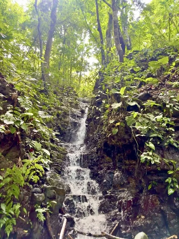 Spring and Waterfall!  3,2 Acres lot in Uvita Mountains, photo 2