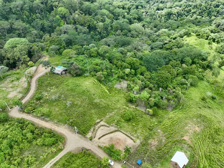 Spring and Waterfall!  3,2 Acres lot in Uvita Mountains, photo 12