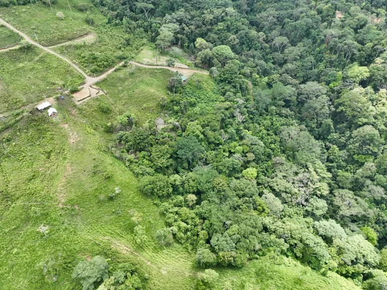 Spring and Waterfall!  3,2 Acres lot in Uvita Mountains, photo 13
