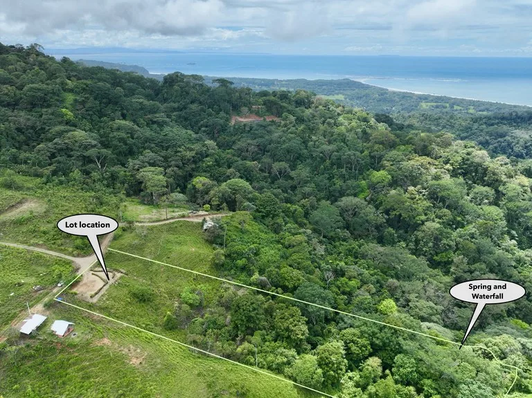 Spring and Waterfall!  3,2 Acres lot in Uvita Mountains, photo 14