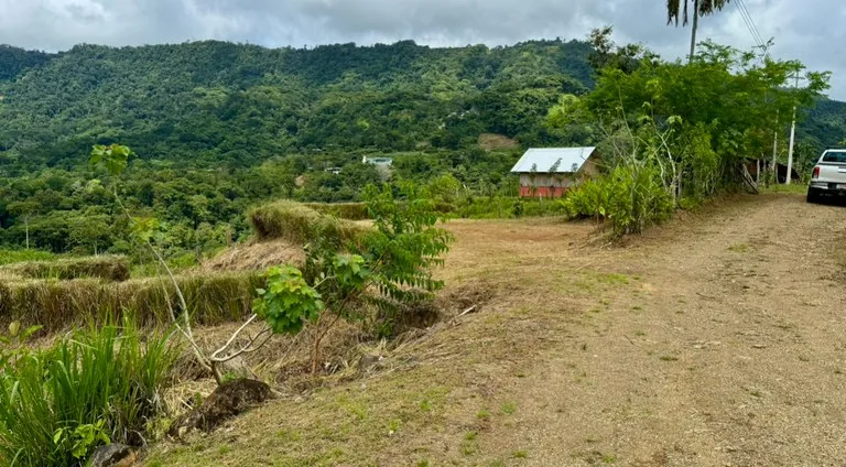 Spring and Waterfall!  3,2 Acres lot in Uvita Mountains, photo 3