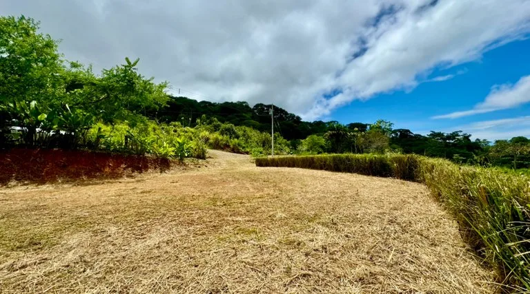 Spring and Waterfall!  3,2 Acres lot in Uvita Mountains, photo 5