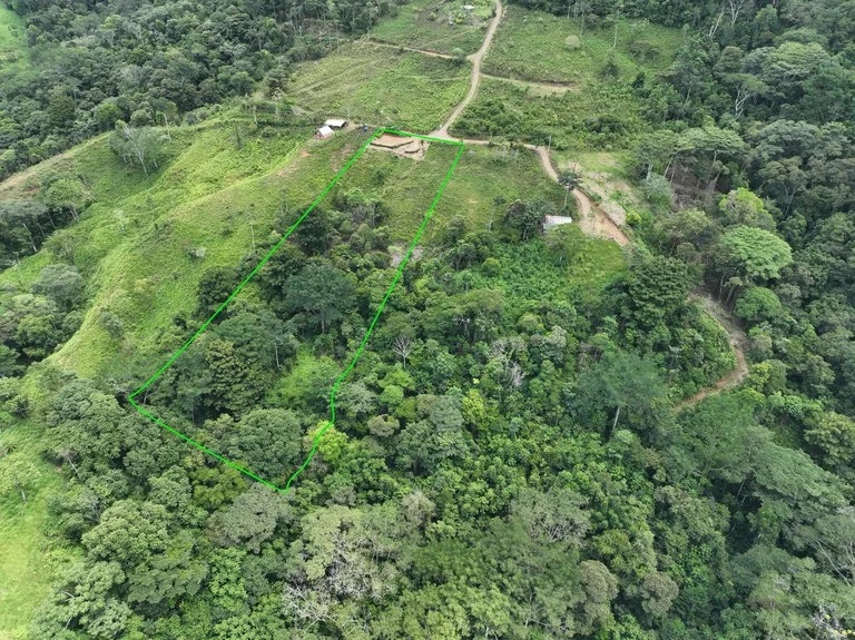 Spring and Waterfall!  3,2 Acres lot in Uvita Mountains, photo 6