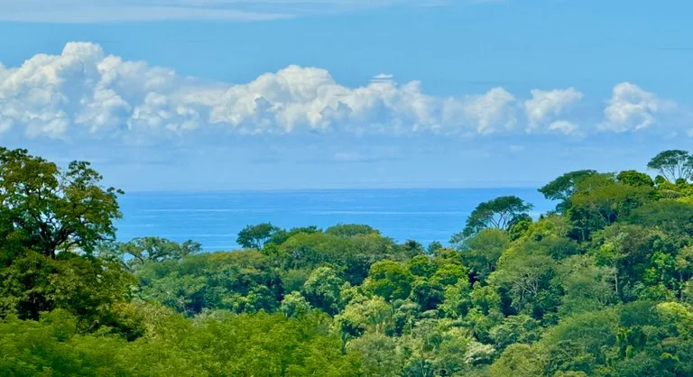 Spring and Waterfall!  3,2 Acres lot in Uvita Mountains, photo 7