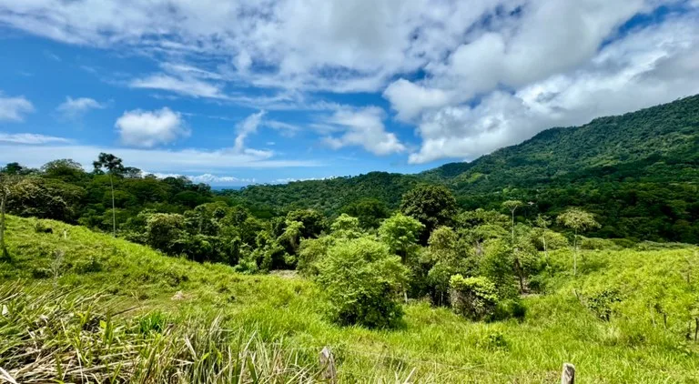 Spring and Waterfall!  3,2 Acres lot in Uvita Mountains, photo 8