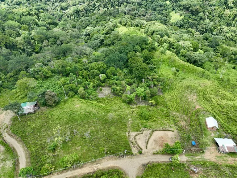 Spring and Waterfall!  3,2 Acres lot in Uvita Mountains, photo 10