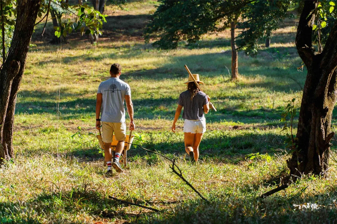 Lote Privilegiado en un Oasis Natural, photo 6