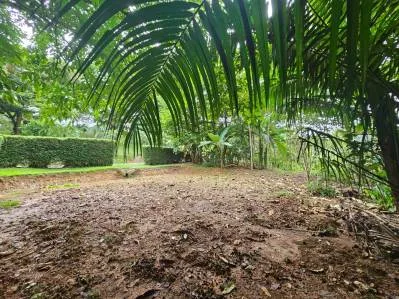 NEW 0.31 ACRES LOT IN UVITA !, photo 26