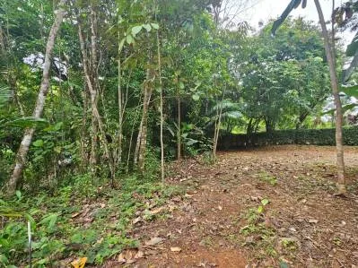 NEW 0.31 ACRES LOT IN UVITA !, photo 27